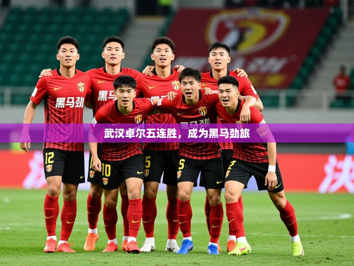 2025 意昂体育官方入口武汉卓尔五连胜，成为黑马劲旅  第4张