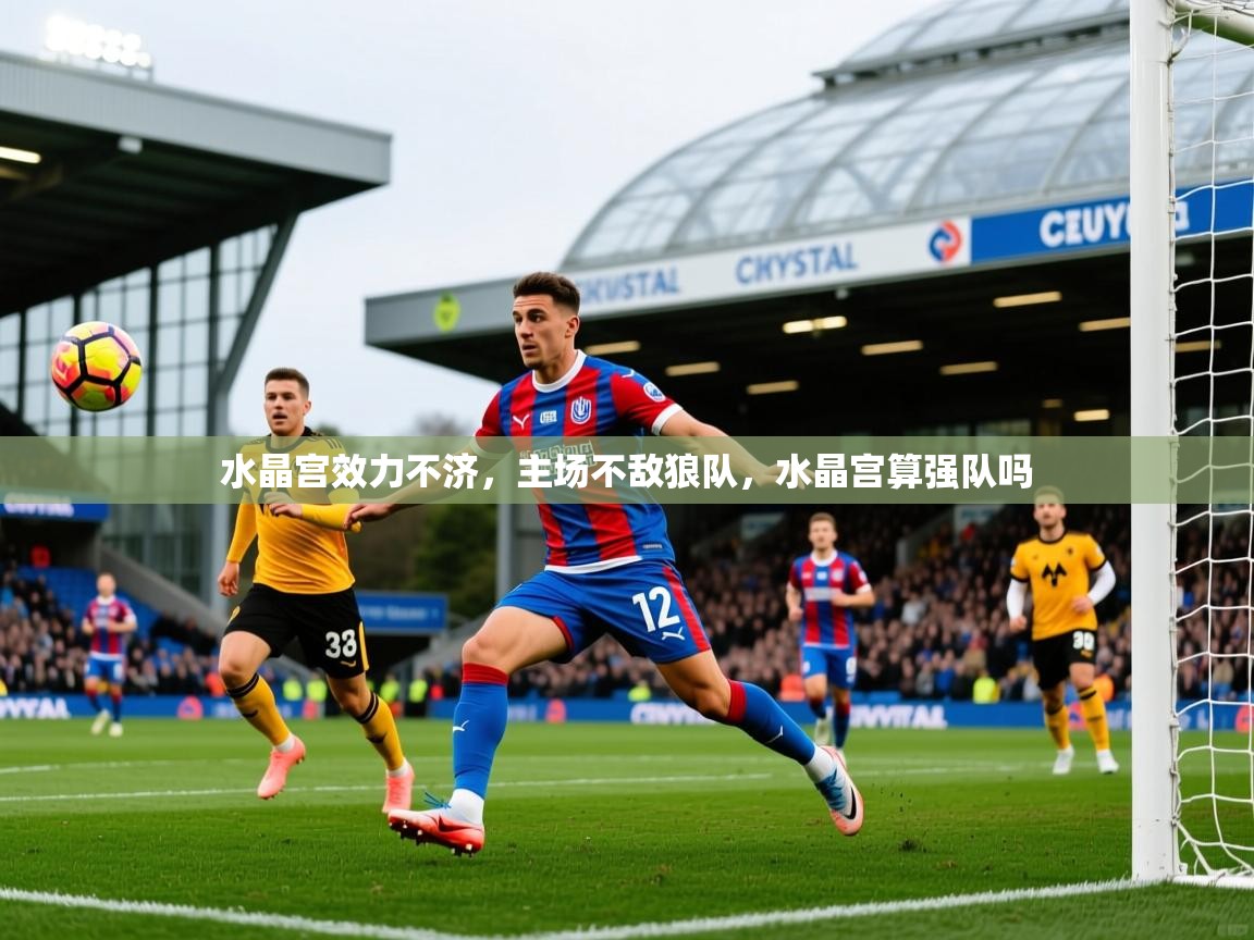 2025 意昂体育app水晶宫效力不济,主场不敌狼队,水晶宫算强队吗 第4张