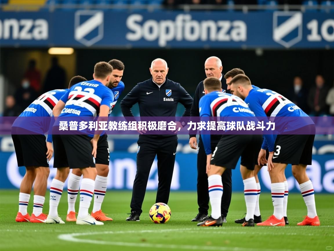 2025 意昂体育平台是干什么的桑普多利亚教练组积极磨合，力求提高球队战斗力  第4张